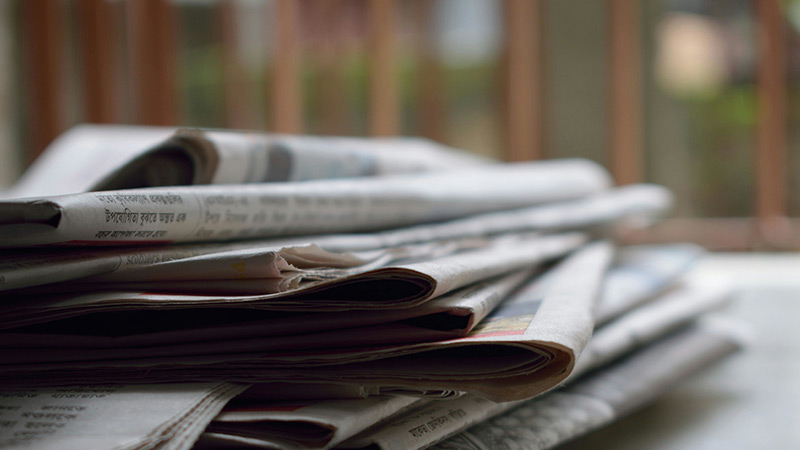 细菌蛋白允许宠物食品的可持续性和路德要求